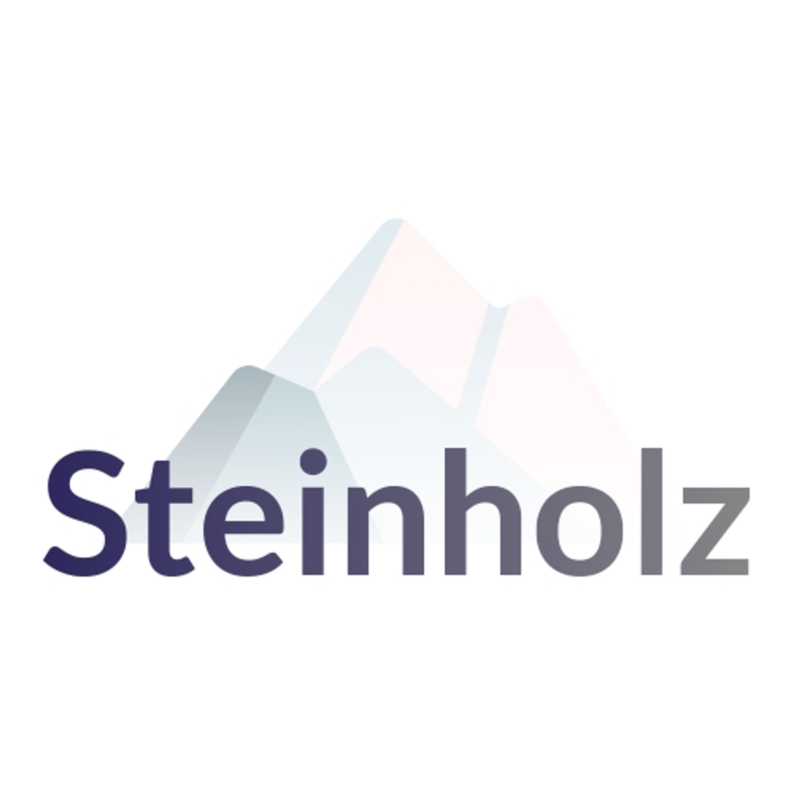 Бренд Steinholz